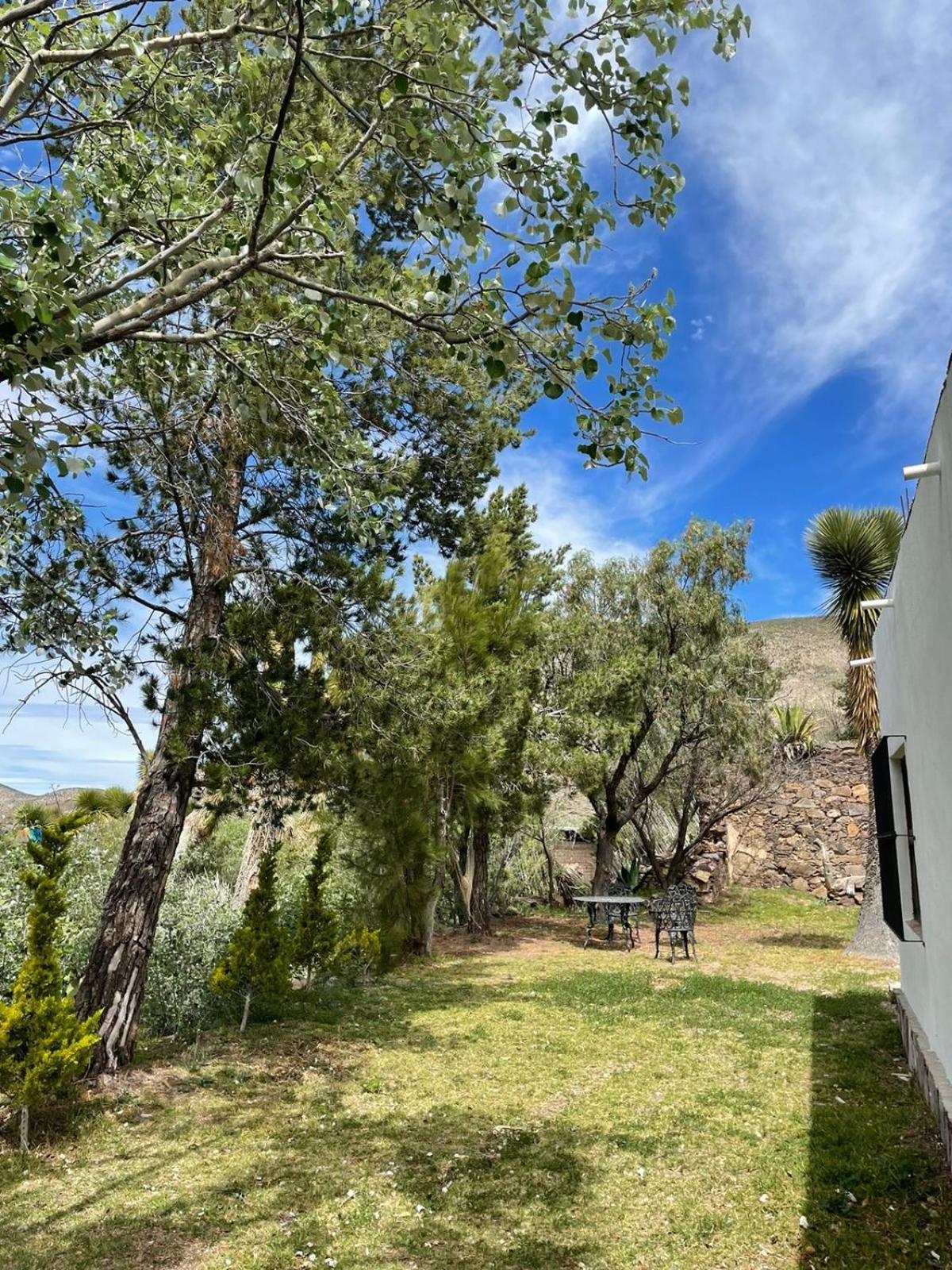 Ventana Al Desierto Guest House Catorce Ngoại thất bức ảnh