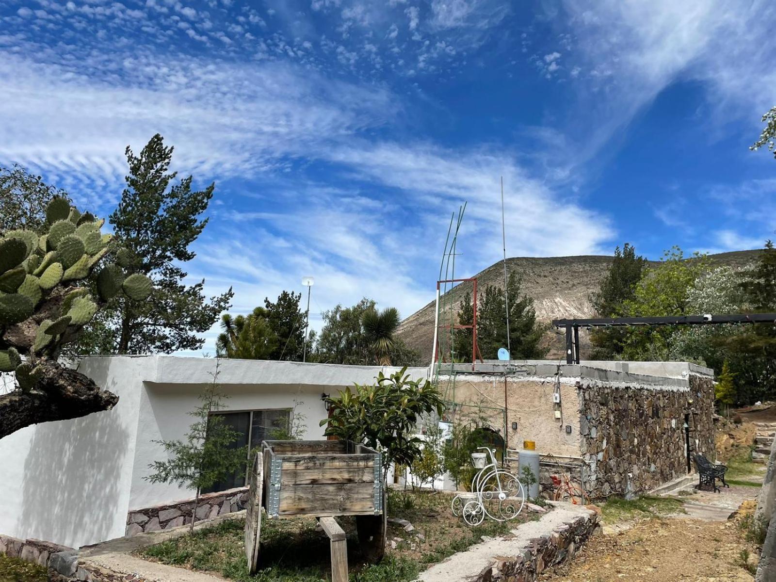 Ventana Al Desierto Guest House Catorce Ngoại thất bức ảnh
