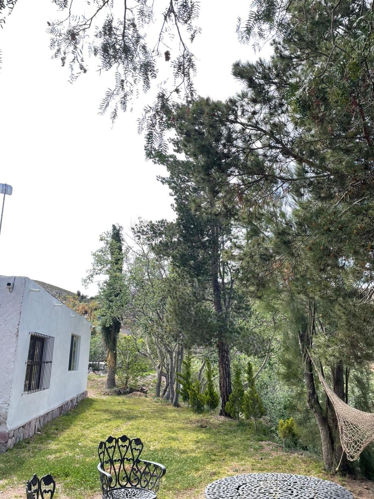 Ventana Al Desierto Guest House Catorce Ngoại thất bức ảnh