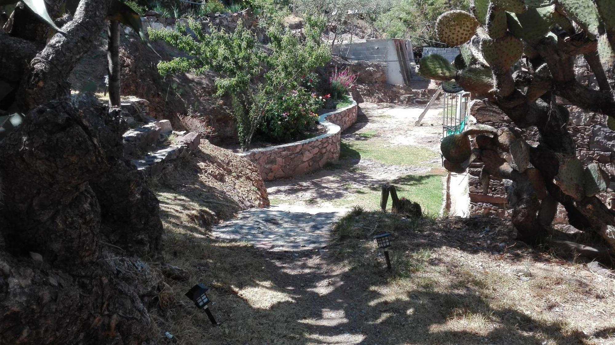 Ventana Al Desierto Guest House Catorce Phòng bức ảnh