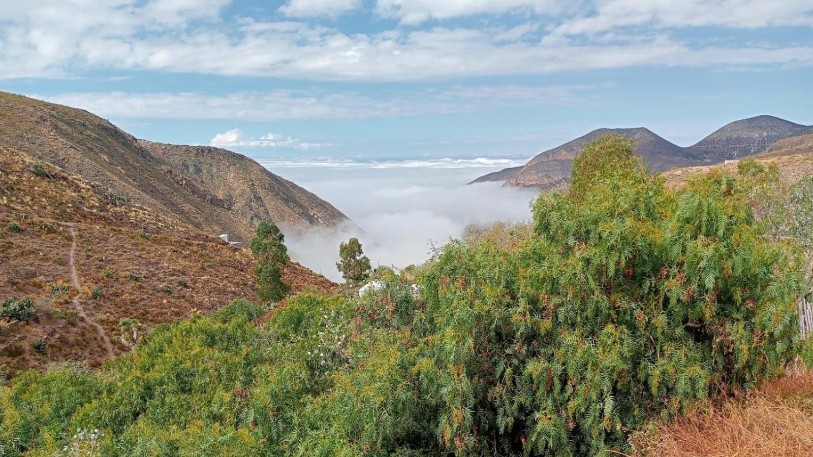 Ventana Al Desierto Guest House Catorce Ngoại thất bức ảnh